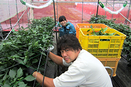 豊後大野市