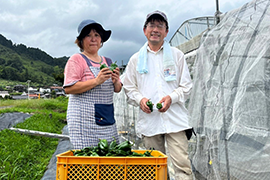 中津市