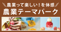 堀内果実園