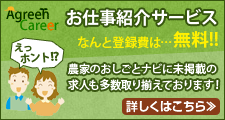 職業紹介サービス