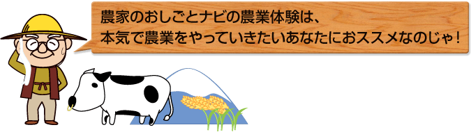 農家のおしごとナビの農業体験は、本気で農業をやっていきたいあなたにおススメなのじゃ!