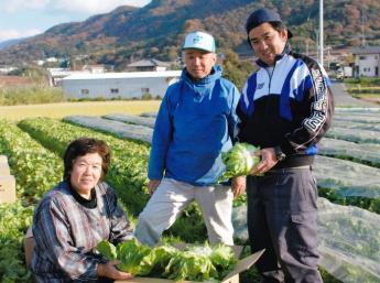 独立支援いたします♪果樹生産、野菜生産を両方経験できます!川上農園で農業をはじめませんか?