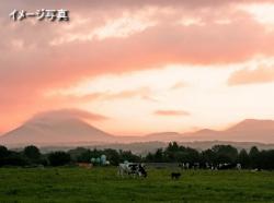 日本最北端の村で新しい一歩を踏み出そう!★酪農未経験者の方も大歓迎です★