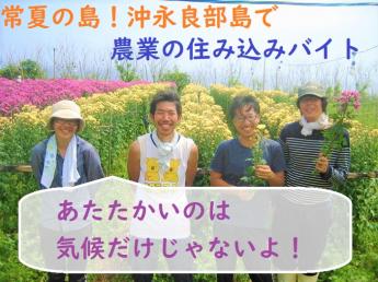 ■寮完備・短期アルバイト募集です■暖かい南の島から全国にきれいな花を届けよう!