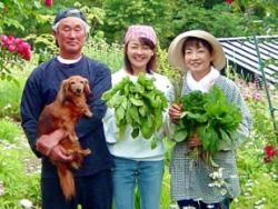 自然豊かな山梨で、野菜の美味しさ、感動を伝えよう! 無農薬野菜 販売のお仕事♪