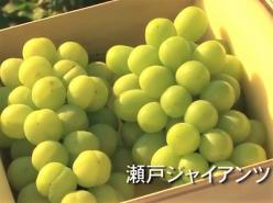 有限会社濱農産【期間限定アルバイト募集】