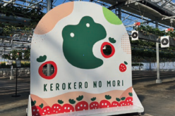 キラリ！みやぎの農業体験ツアー【農業体験コース②】参加者募集