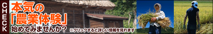 本気の「農業体験」始めてみませんか?※クリックすると詳しい情報を見れます