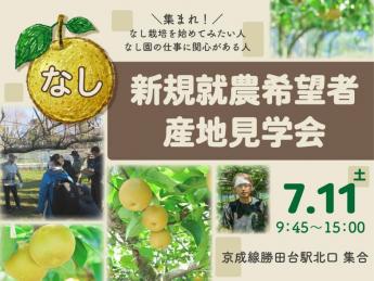 高級米の生産、販売会社