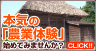 本気の「農業体験」始めてみませんか?【CLICK!!】