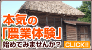 本気の「農業体験」始めてみませんか？【CLICK!!】