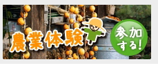 農業体験