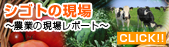 シゴトの現場