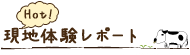 現地体験レポート