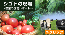 シゴトの現場