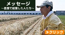 メッセージ