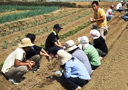 1day農業体験・就農セミナーin神戸
