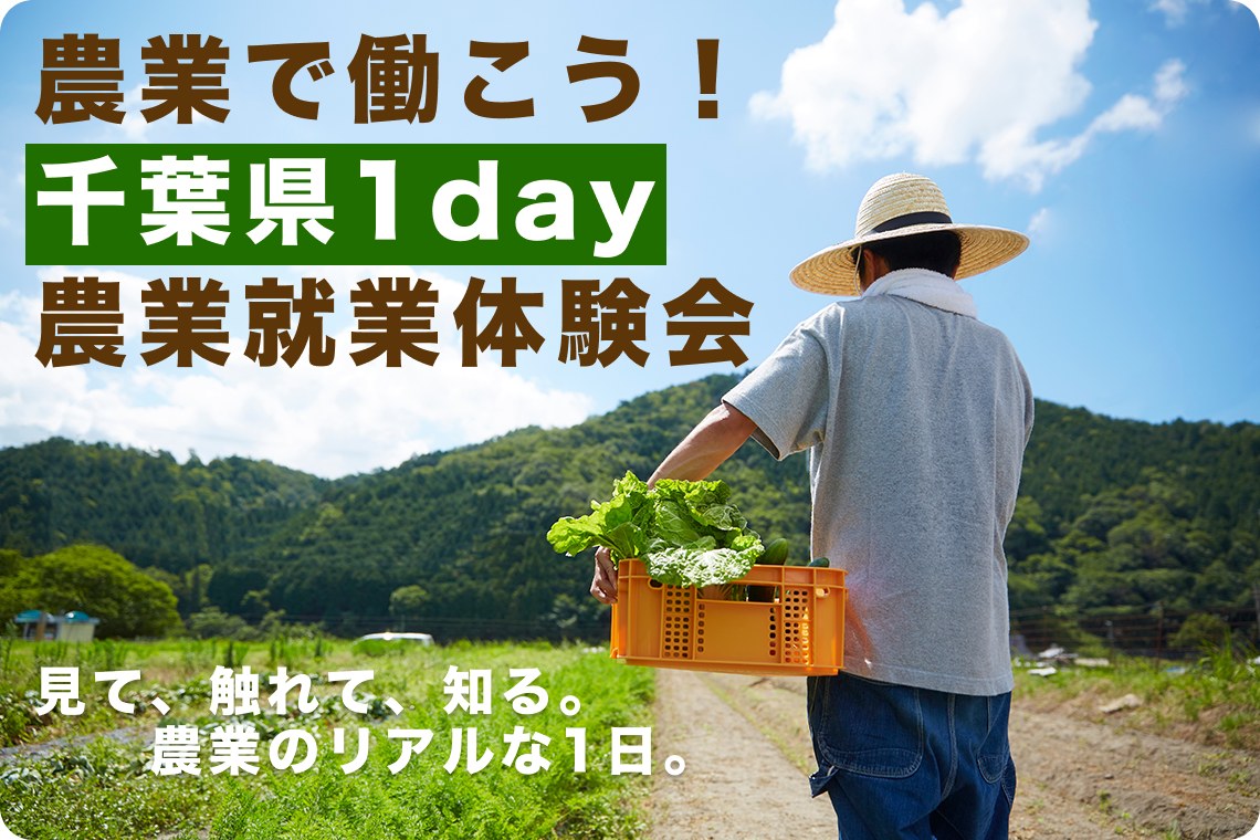 農業で働こう！千葉県1day農業就業体験会 見て、触れて、知る。農業のリアルな1日。