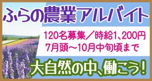 ふらの農作業ヘルパー募集