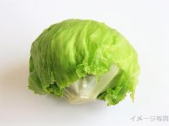 井出亨農園
