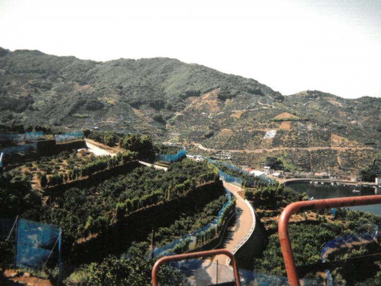 礒﨑農園(礒﨑 初廣)
