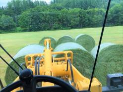 株式会社ニューバーチファーム