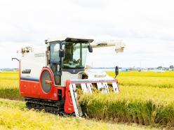 株式会社きうち農産