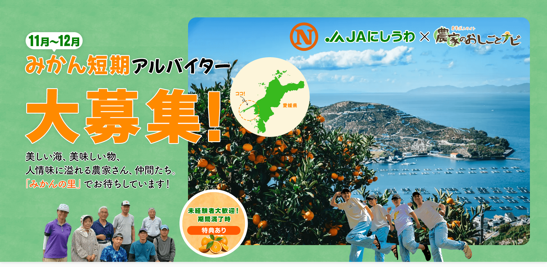 11月～12月 みかん短期アルバイター大募集！ 未経験者大歓迎！期間満了時特典あり JAにしうわ×農家のおしごとナビ