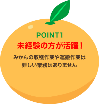 POINT1 未経験の方が活躍！