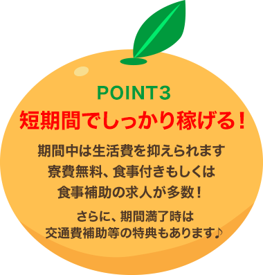 POINT3 短期間でしっかり稼げる！