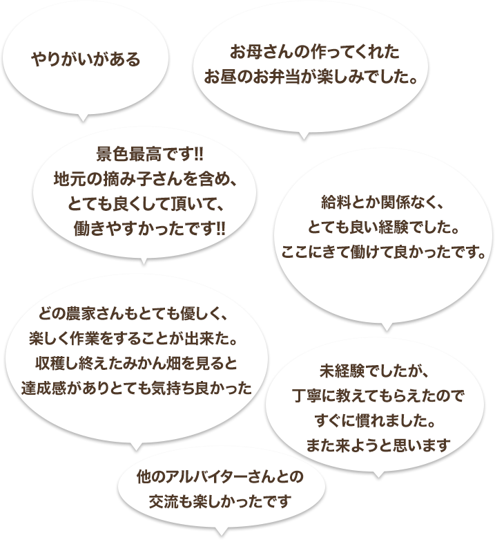 アルバイターの声