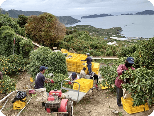 みかんアルバイターはこんな人におすすめ！