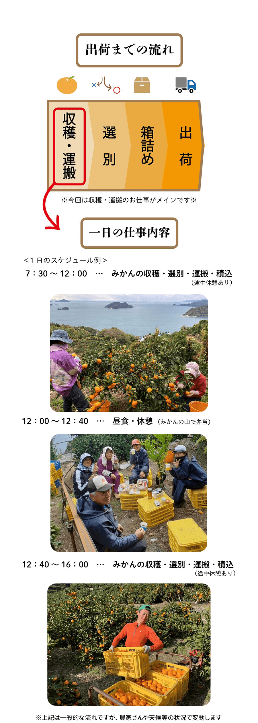 西宇和みかんアルバイト1日の流れイメージ