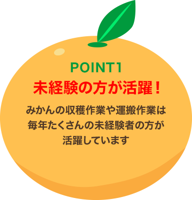 POINT1 未経験の方が活躍!