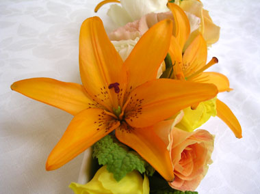 山口県オリジナルのユリ「プチソレイユ」