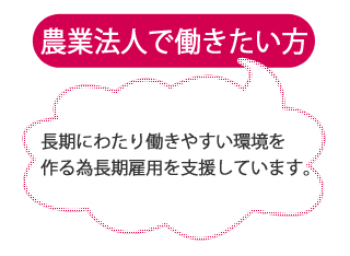 農業法人で働きたい方
