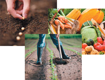 タイムスケジュール