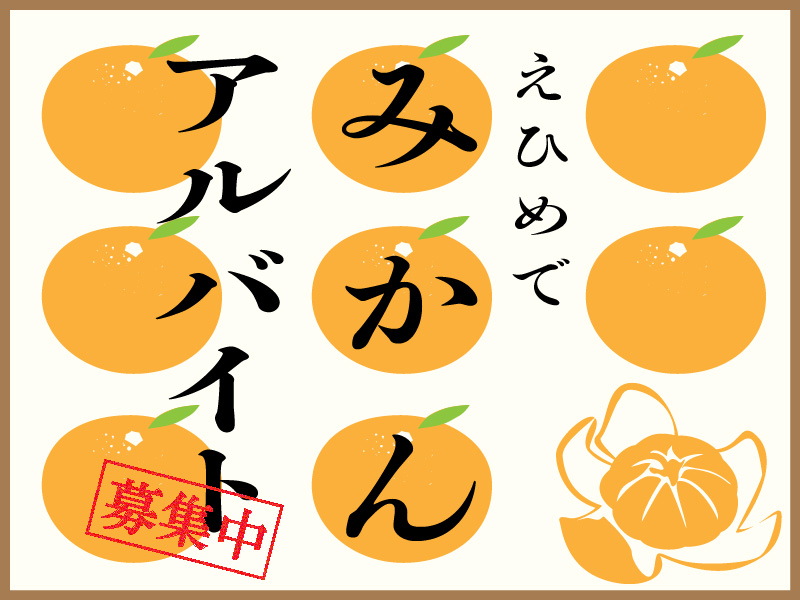 みかんのまちで農業アルバイト 農家のおしごとナビ あぐりーんtopics